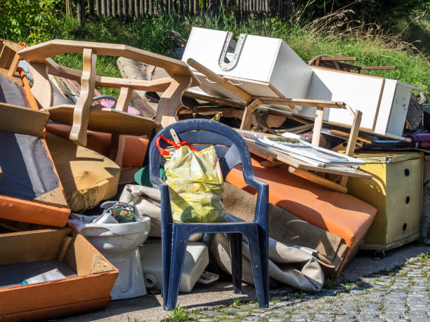 Best Dumpster Rental Services  in Ann Arbor, MI